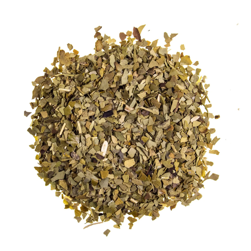 Mate Tea (Ilex paraguariensis - Yerba Mate) - Herbal Collection - eOil.co.za