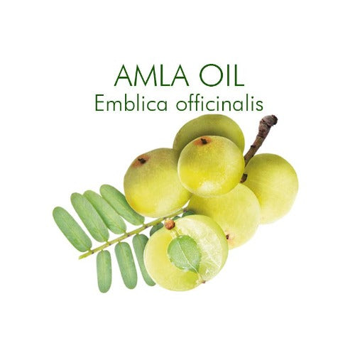 eOil.co.za Amla Ayurveda oil for all hair types: ideal to add to your weekly or monthly hair care conditioning routine. Ideal for deep conditioning, regenerating, and strengthening dry to very dry hair and scalps