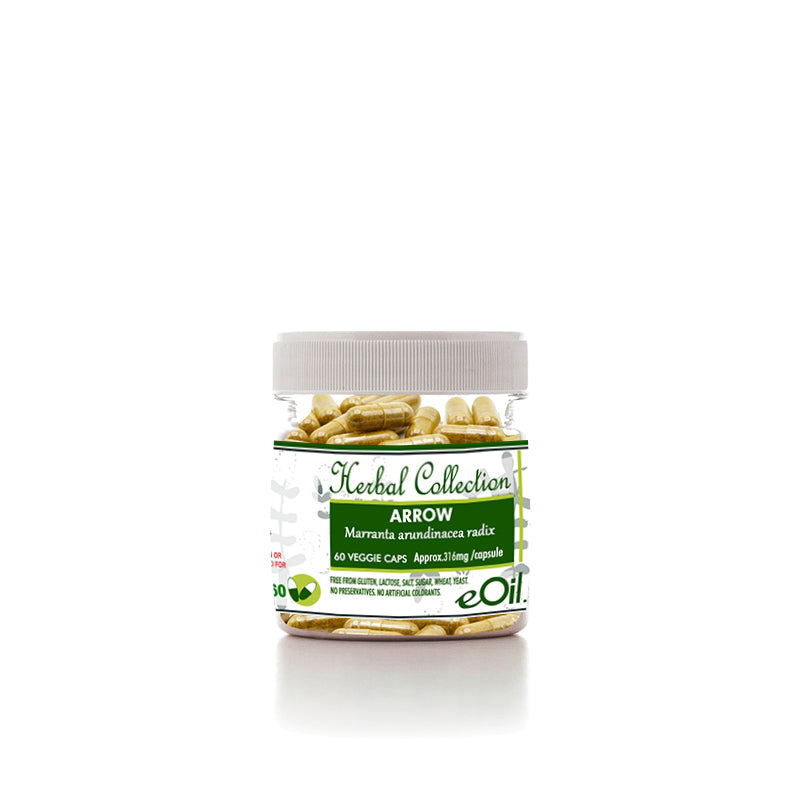 Arrow Root Powder - 60 capsules - Herbal Collection - eOil.co.za