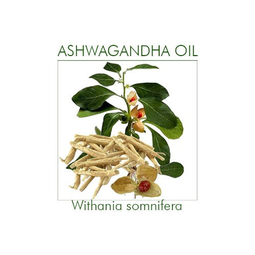 eOil.co.za Ashwagandha Ayurveda oil For body massages, energy boost, immune system boost, physical and mental stress, burnouts, physical and mental exhaustion, muscles and joints discomforts, immune system boost