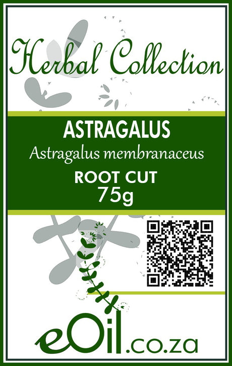 Astragalus Root Cut Dried (Astragalus membranaceus) - 75 g - eOil.co.za