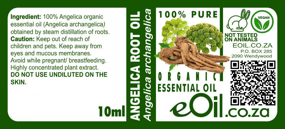 Angelica Root Essential Oil Organic, earthy aromatic root extract for grounding, clarity, and wellness