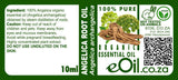 Angelica Root Essential Oil Organic, earthy aromatic root extract for grounding, clarity, and wellness