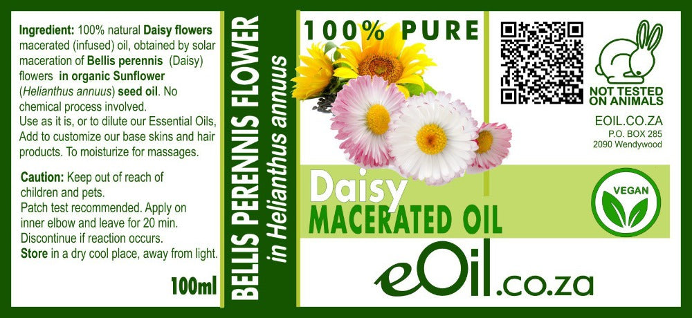 Daisy Flower infused macerated carrier oil 100 ml from eOil.co.za