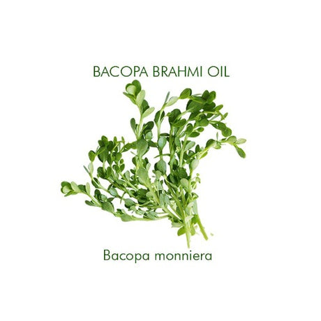 eOil.co.za Bhrami bacopa ayurveda oil. Hydrating, firming, smoothing, and softening. For all skin types. For dry, prematurely aging, marks and scars. Associated with castor oil for hair care. Promote relaxation, balance & calm