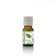 Bay Laurel Leaf Essential Oil Organic, spicy aromatic oil for respiratory blends and culinary infusions