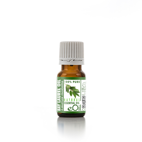 Bay Laurel Leaf Essential Oil Organic, spicy aromatic oil for respiratory blends and culinary infusions