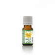 Blue Tansy  Essential oil - 5 ml - eOil.co.za