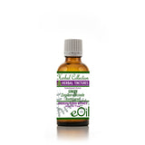 Ginger Zingiber Tincture - Vegetable Glycerine - 50 ml - eOil.co.za