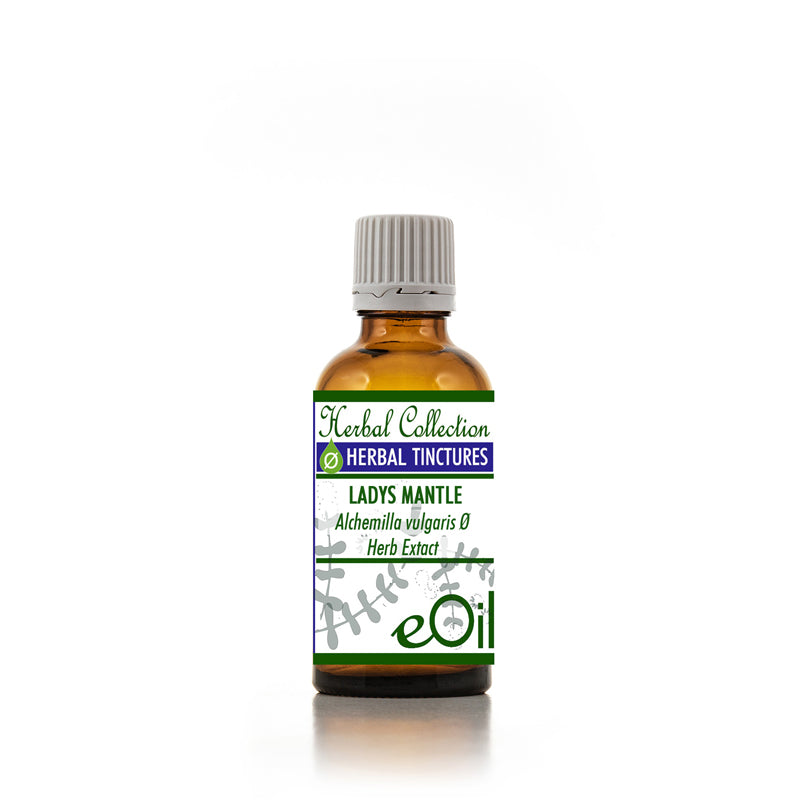 Lady's mantle ( Alchemilla vulgaris ) Tincture - 50 ml - eOil.co.za
