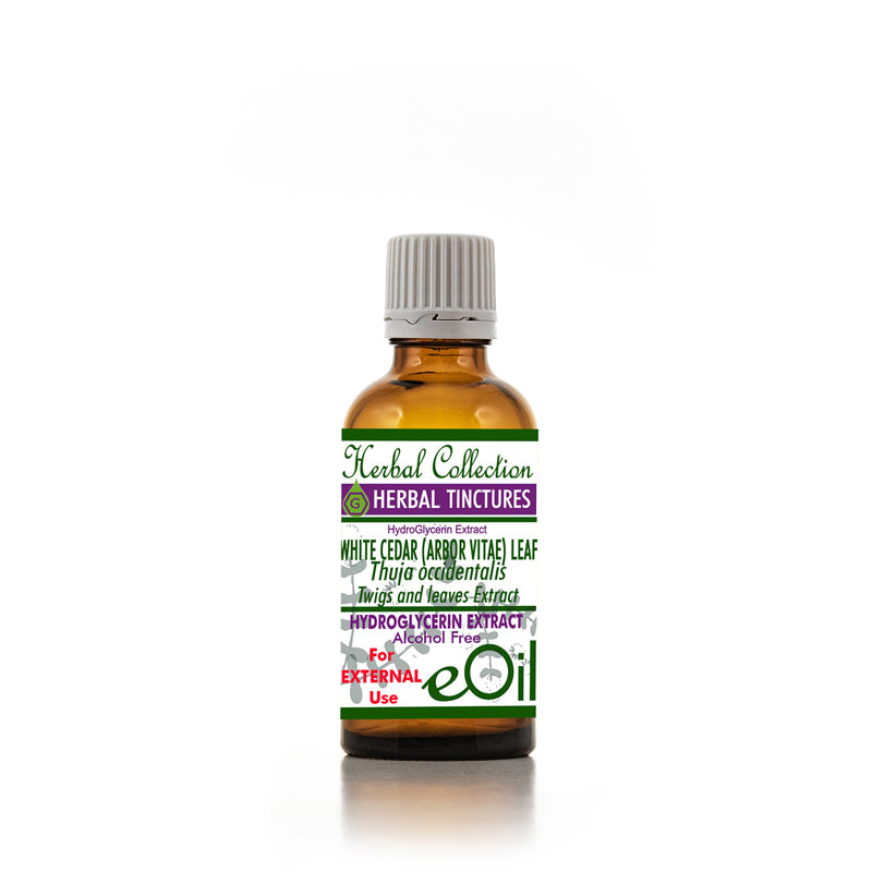 Thuja White Cedar Tincture - Vegetable Glycerine - 50 ml - eOil.co.za