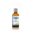 Echinacea angustifolia roots Tincture | Coneflower root | 50 ml - eOil.co.za