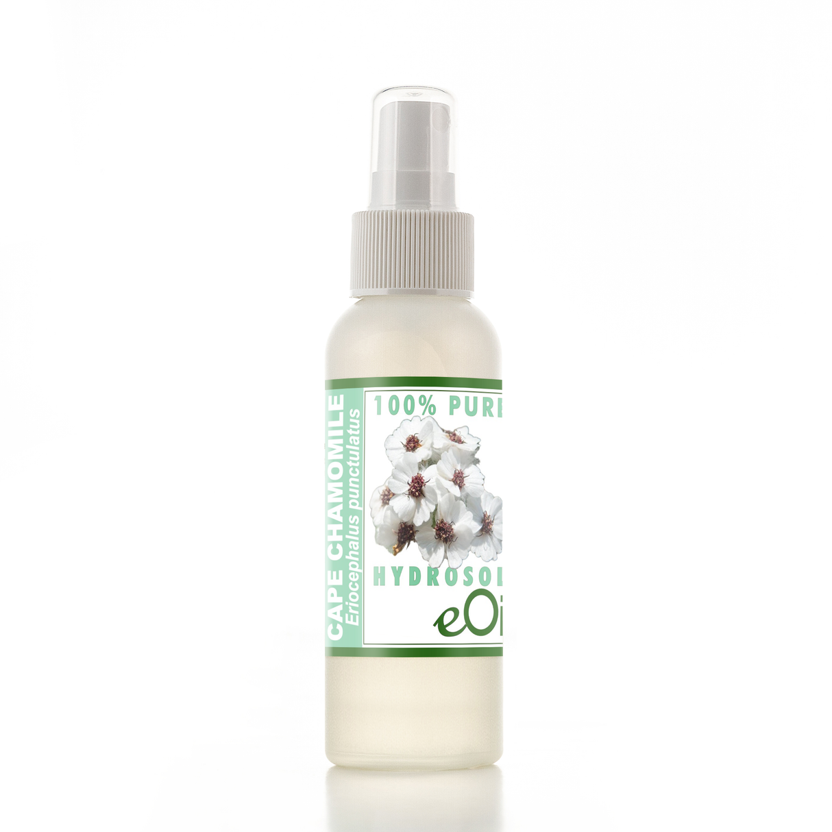 Cape Chamomile Hydrosol 100 % - eOil.co.za