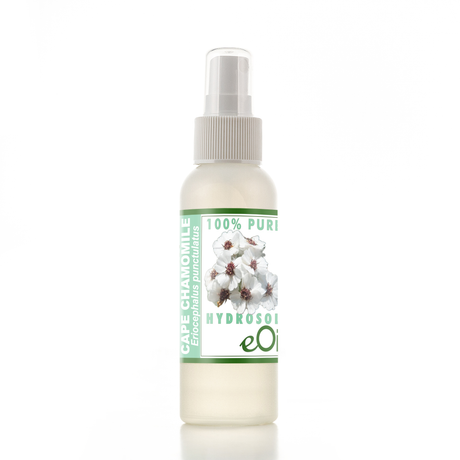 Cape Chamomile Hydrosol 100 % - eOil.co.za