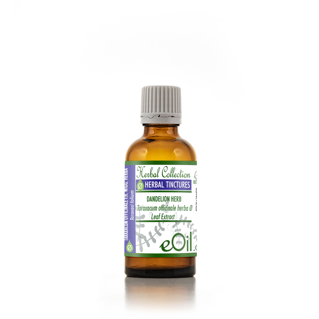 Dandelion Herb Tincture ( Taraxacum officinale ) - 50 ml - eOil.co.za