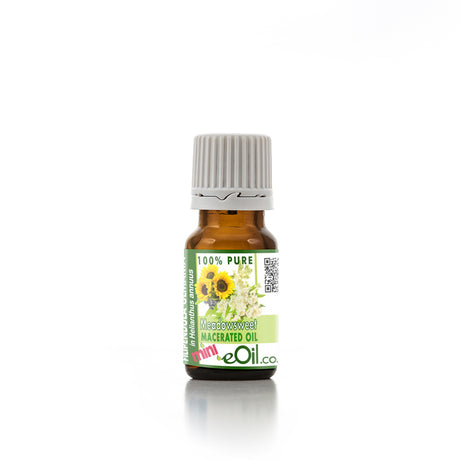 Meadowsweet ( Filipendula ulmaria ) Macerated Carrier Oil Organic - eOil.co.za