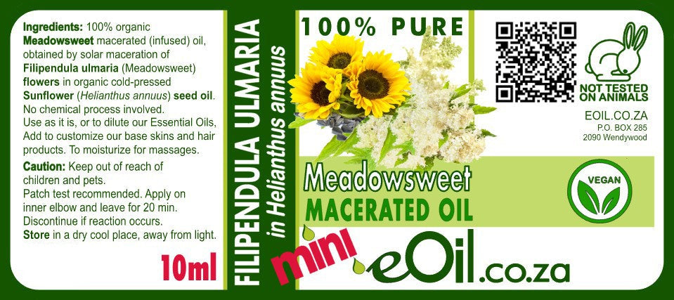 Meadowsweet ( Filipendula ulmaria ) Macerated Carrier Oil Organic - eOil.co.za