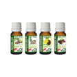 Cleansing & Make Up Removal Oils - Discovery Collection Mini - 4 x 10 ml - eOil.co.za