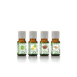 Exotic cuisine kitchen assortment essential oils - eOil.co.za