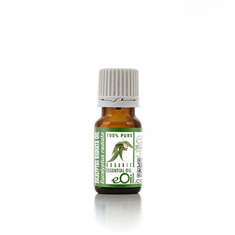 EUCALYPTUS RADIATA ORGANIC ESSENTIAL OIL (Eucalyptus radiata) 10 ml - eOil.co.za