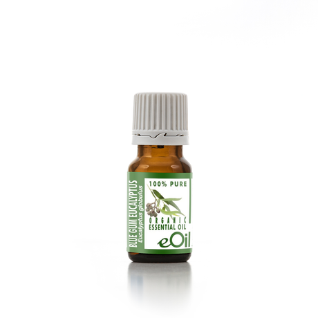 Eucalyptus globulus blue gum Essential Oil Organic, classic oil for respiratory blends in diffuser 10 ml - eOil.co.za