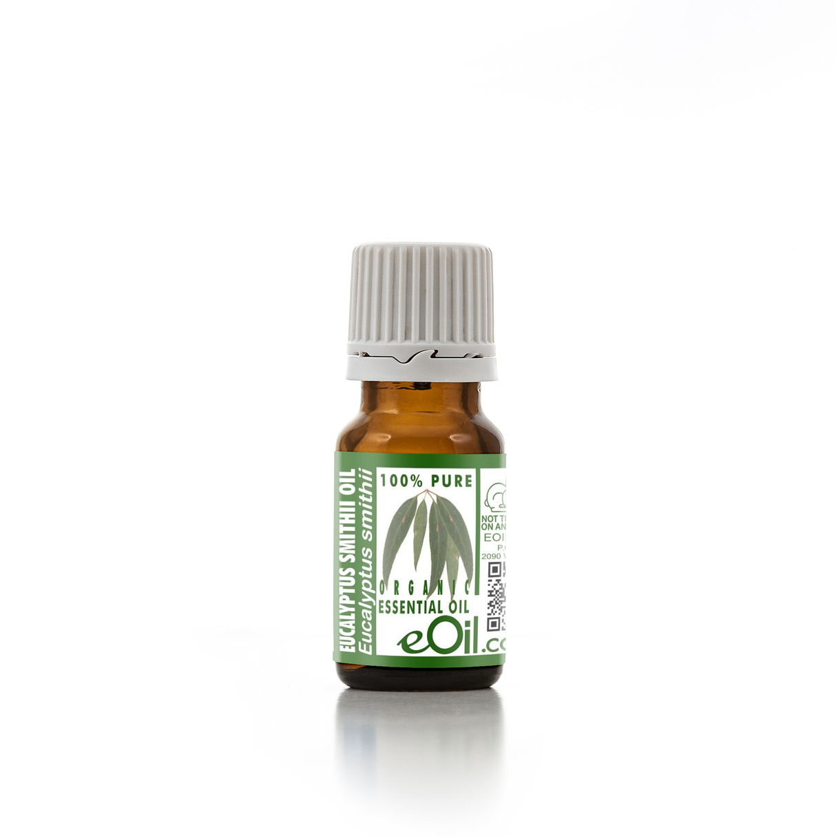Eucalyptus smithii Essential Oil Organic, soft eucalyptus aroma, wellness applications eOil.co.za