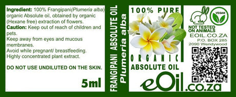 Frangipani Absolute Organic Oil, sweet tropical floral for perfumes, wellness blends, and holistic beauty label