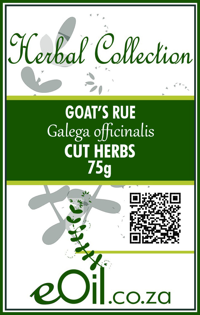 Goats Rue Herb Cut - 75 g - Herbal Collection - eOil.co.za