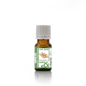 Ginger Essential Oil Organic, warming oil for culinary and wellness uses eOil.co.za
