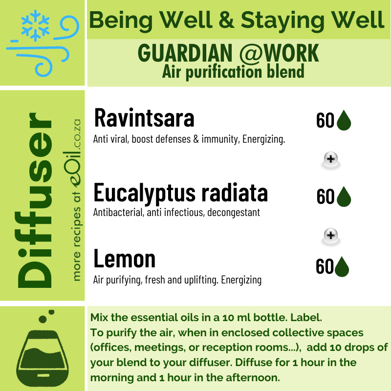 Diffusion Recipe - Office, Work Place Air Purification - eOil.co.za