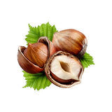 Hazelnut oil organic carrier oils 100 ml - eOil.co.za