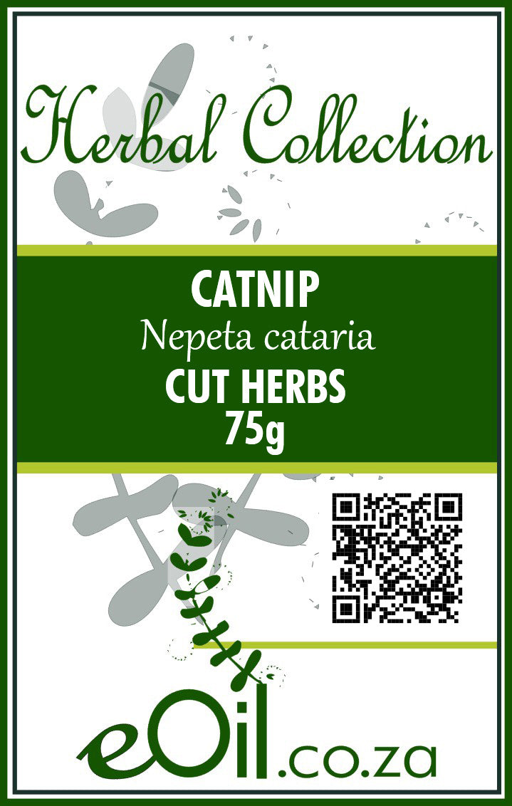 Catnip Herb Cut - 75 g - Herbal Collection - eOil.co.za