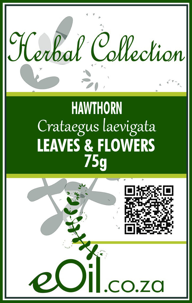 Hawthorn Leaves & Flowers - 75 g - Herbal Collection - eOil.co.za