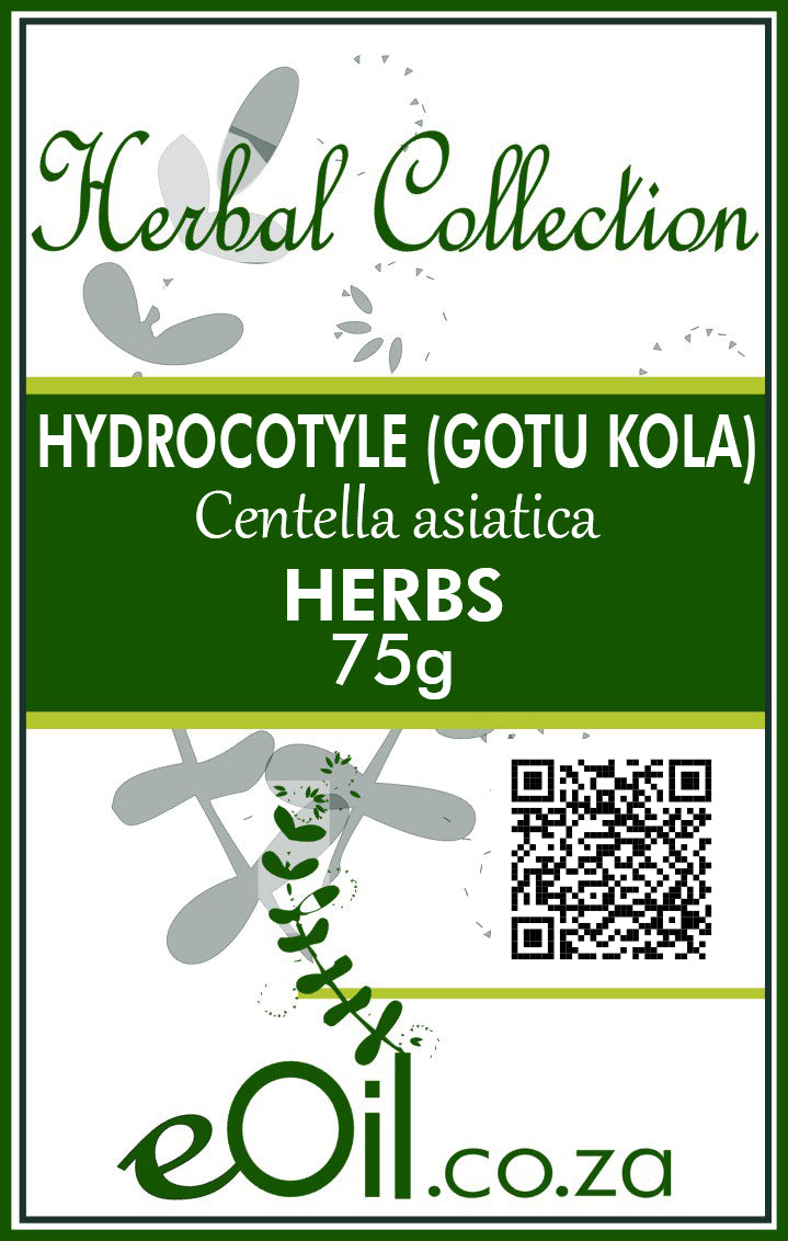 Hydrocotyle Gotu Kola dried - 75 g - Herbal Collection - eOil.co.za