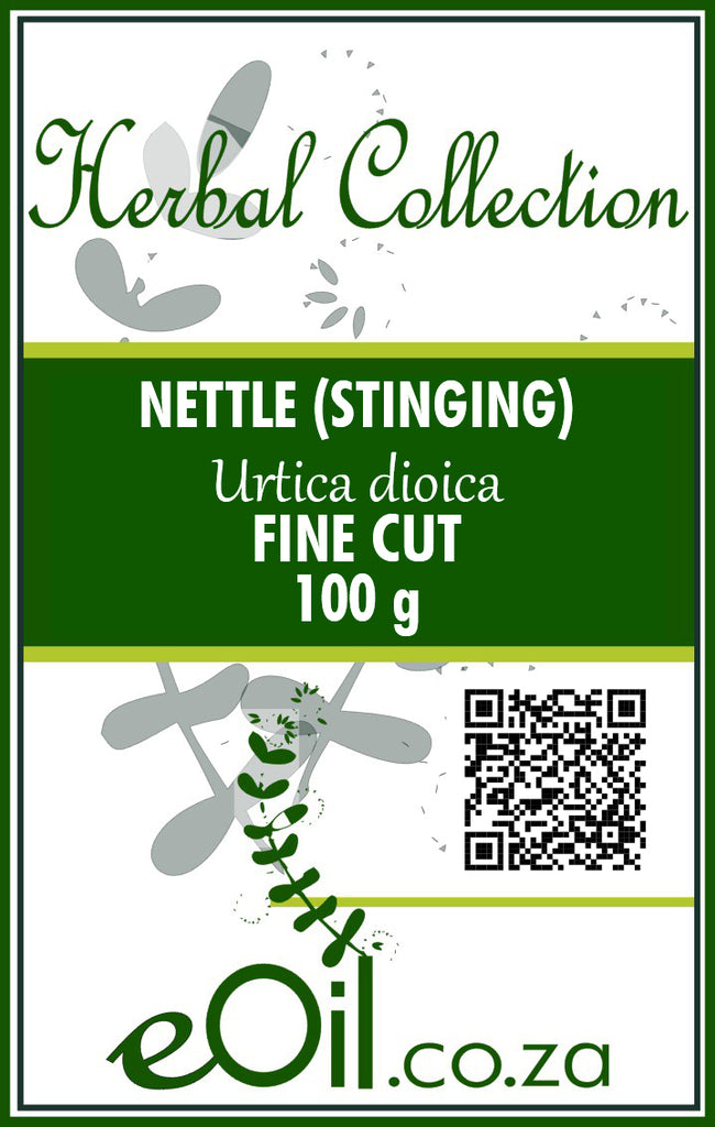 Stinging Nettle Leaves Fine Organic - 100 g - Herbal Collection - eOil.co.za