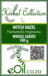 Witch Hazel Leaves Dried (Hamamelis virginiana) - 100g - Herbal Collection - eOil.co.za