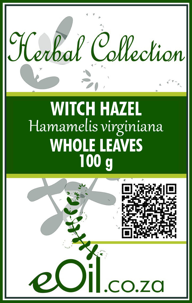 Witch Hazel Leaves Dried (Hamamelis virginiana) - 100g - Herbal Collection - eOil.co.za
