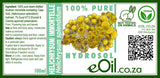 Helichrysum splendidum Hydrosol 100 % - eOil.co.za