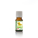 St John's Wort Oil Macerated Natural - eOil.co.za