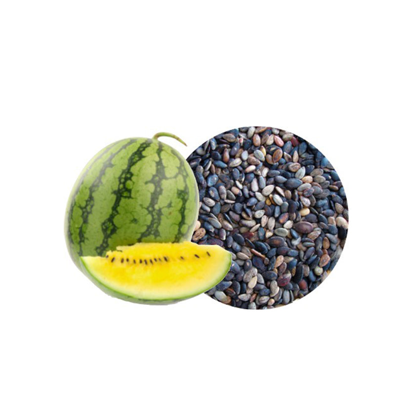 Kalahari Melon Seed Carrier Oil Organic - eOil.co.za