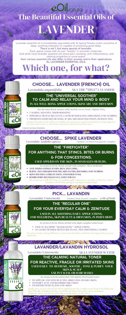 Lavandin oil natural essential oils (Lavandula X intermedia, Lavender hybrid ) 10 ml - eOil.co.za