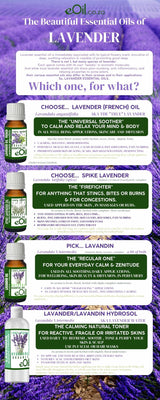 Lavender Hydrosol Organic 100 ml - eOil.co.za