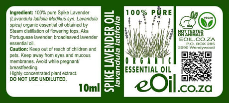Lavender Spike Essential Oil Organic, herbal aroma for aromatic and personal uses eOil.co.za