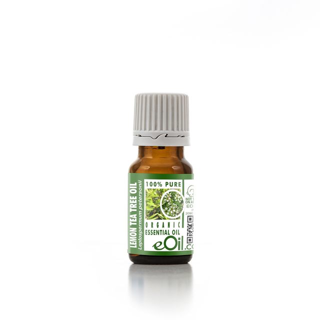 LEMON TEA TREE ORGANIC ESSENTIAL OIL (Leptospermum petersonii) 10 ml - eOil.co.za