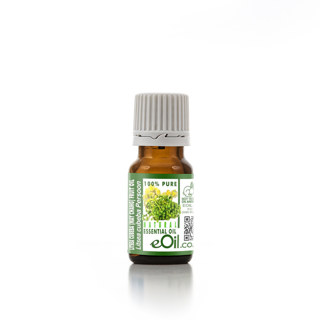 eOil.co.za essential oil litsea cubeba 10 ml 100 % pure natural May Chang