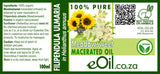 Meadowsweet ( Filipendula ulmaria ) Macerated Carrier Oil Organic - eOil.co.za