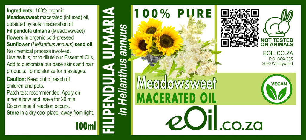 Meadowsweet ( Filipendula ulmaria ) Macerated Carrier Oil Organic - eOil.co.za