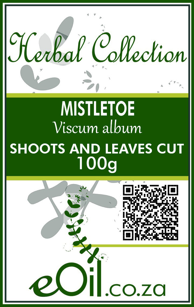 Mistletoe Cut Dried (Viscum album) - 100 g - Herbal Collection - eOil.co.za