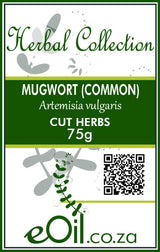 Mugwort Dried (Artemisia vulgaris) - 75 g - eOil.co.za