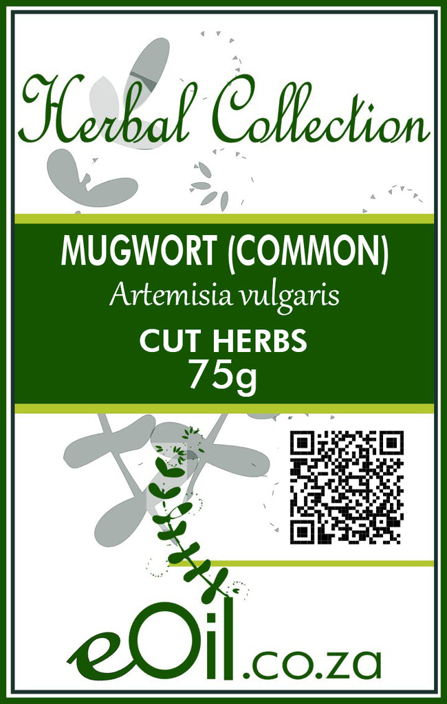 Mugwort Dried (Artemisia vulgaris) - 75 g - eOil.co.za
